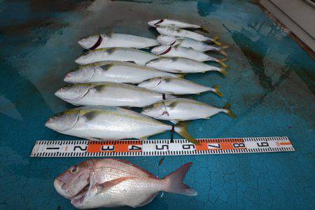 アジアマリンサービス 釣果