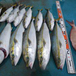 アジアマリンサービス 釣果