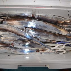 アジアマリンサービス 釣果