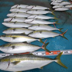 アジアマリンサービス 釣果