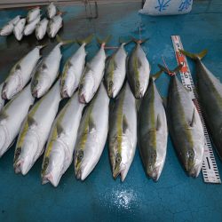 アジアマリンサービス 釣果