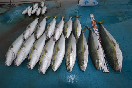 アジアマリンサービス 釣果