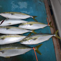 アジアマリンサービス 釣果