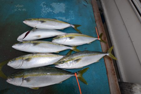 アジアマリンサービス 釣果