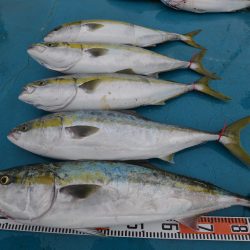 アジアマリンサービス 釣果