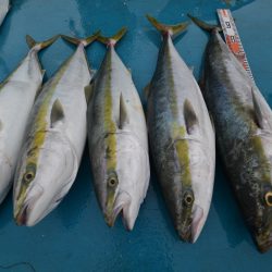 アジアマリンサービス 釣果