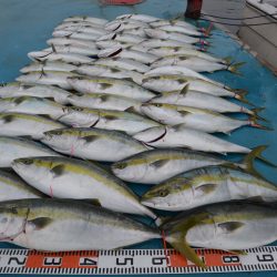 アジアマリンサービス 釣果