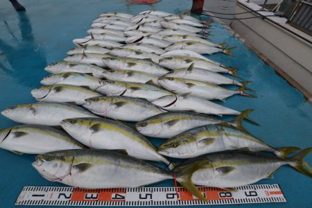 アジアマリンサービス 釣果