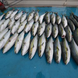 アジアマリンサービス 釣果