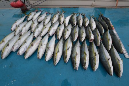 アジアマリンサービス 釣果