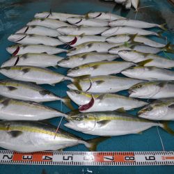 アジアマリンサービス 釣果