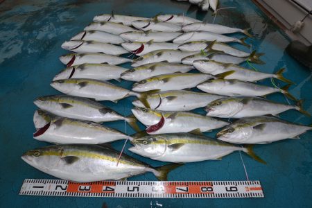 アジアマリンサービス 釣果