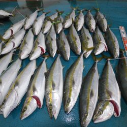 アジアマリンサービス 釣果