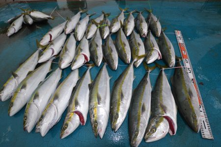 アジアマリンサービス 釣果