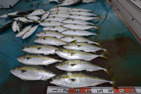 アジアマリンサービス 釣果