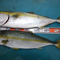 アジアマリンサービス 釣果