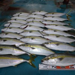 アジアマリンサービス 釣果