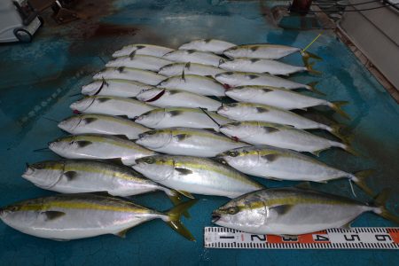 アジアマリンサービス 釣果