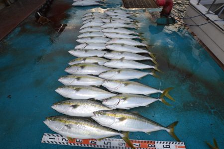 アジアマリンサービス 釣果