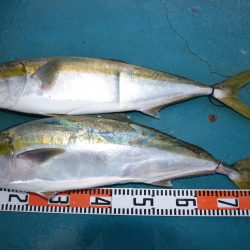 アジアマリンサービス 釣果