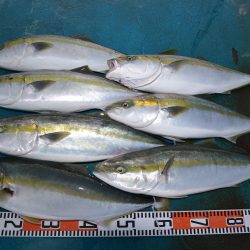 アジアマリンサービス 釣果