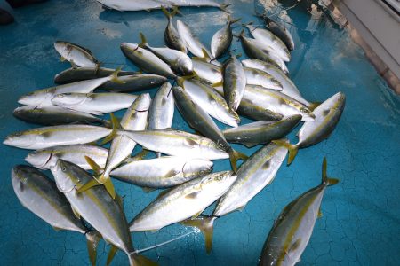 アジアマリンサービス 釣果