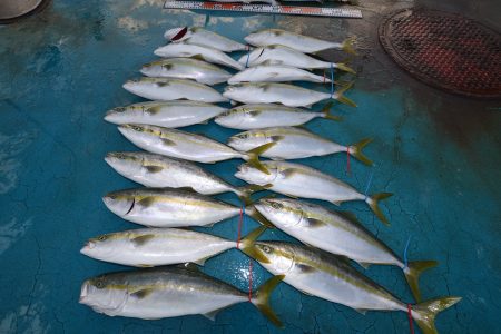 アジアマリンサービス 釣果