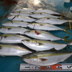 アジアマリンサービス 釣果