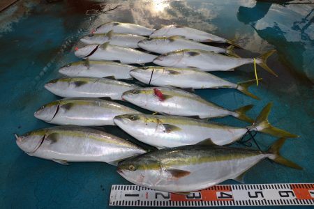 アジアマリンサービス 釣果