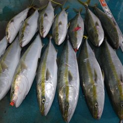 アジアマリンサービス 釣果