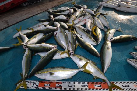 アジアマリンサービス 釣果