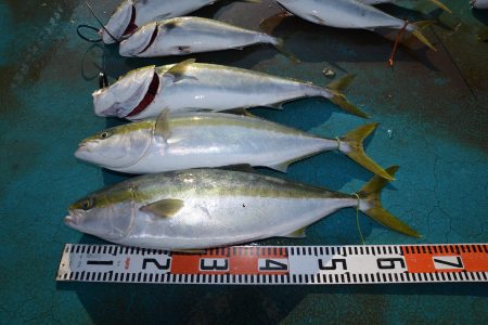 アジアマリンサービス 釣果