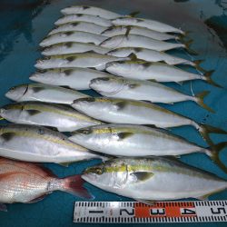 アジアマリンサービス 釣果