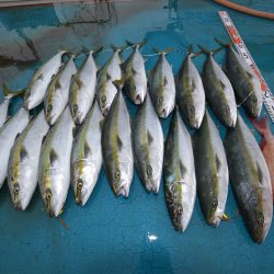 アジアマリンサービス 釣果