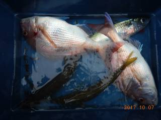 作十丸 釣果