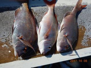 作十丸 釣果