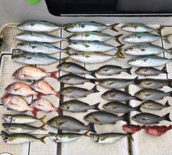 さぶろう丸 釣果