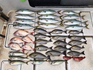 さぶろう丸 釣果