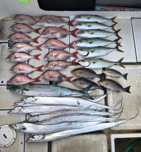 さぶろう丸 釣果