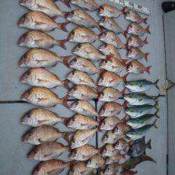 磯部釣船 直栄丸 釣果