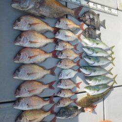 磯部釣船 直栄丸 釣果