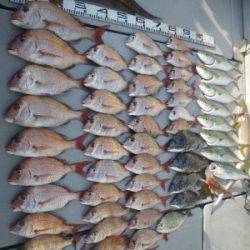 磯部釣船 直栄丸 釣果