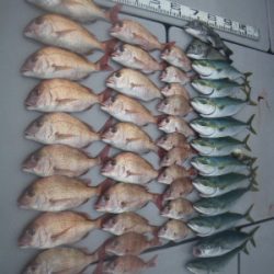 磯部釣船 直栄丸 釣果