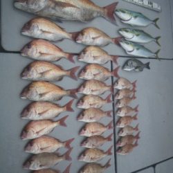 磯部釣船 直栄丸 釣果