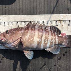 海宝丸 島根 釣果