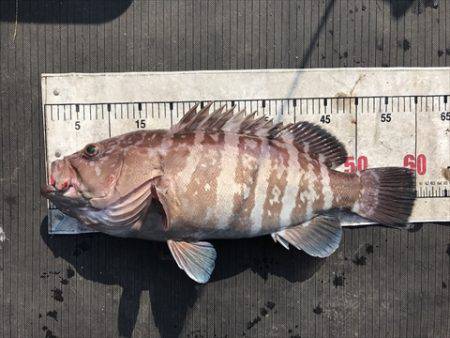 海宝丸 島根 釣果