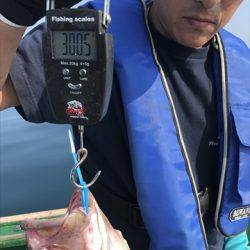 海宝丸 島根 釣果