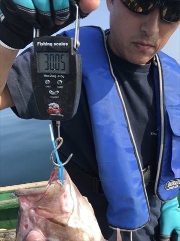 海宝丸 島根 釣果