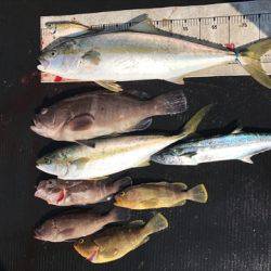 海宝丸 島根 釣果