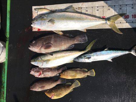 海宝丸 島根 釣果